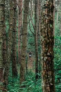 BIB: 
                            <button type="button" onclick="openModal(25235621)" class="btn btn-primary btn-sm float-right btn-popup" data-toggle="modal" data-target=".modal-high-quality">
                        <i class="fas fa-shopping-cart"></i> Add to Cart
                    </button>
                                            <button type="button" onclick="isThisMe(25235621, true)" class="btn btn-success btn-sm float-right btn-popup btn-isme hidden" data-toggle="tooltip" data-placement="bottom" title="นี่คือรูปของคุณใช่ไหม คลิกที่นี่เพื่อเอาเข้าอัลบั้ม">
                        <i class="fas fa-plus"></i> Add to album
                    </button>
                    <button type="button" onclick="isThisMe(25235621, false)" class="btn btn-warning btn-sm float-right btn-popup btn-isnotme hidden">
                        <i class="fas fa-ban"></i> Remove from album
                    </button>